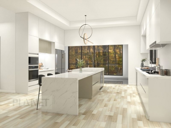 Ckwcabinet Kitchen and Bath Modern Design Metal Laminate Glossy Kitchen Cabinets